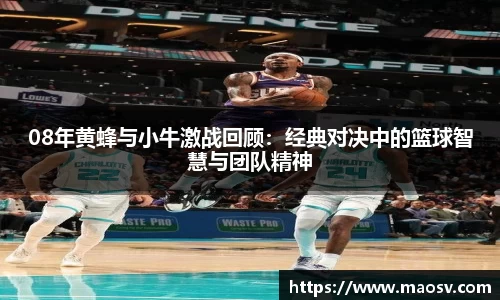 08年黄蜂与小牛激战回顾：经典对决中的篮球智慧与团队精神